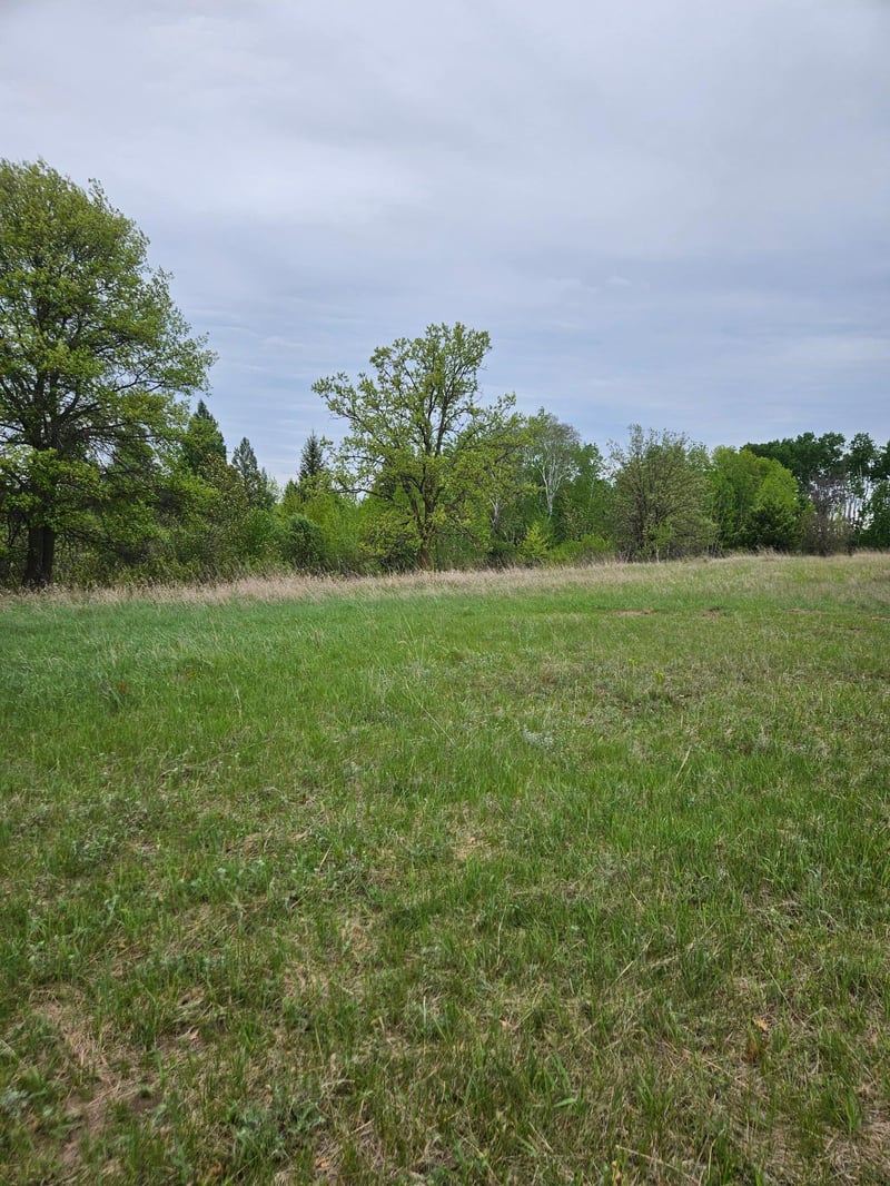 tbd Pillager Creek Trl SW, Pillager, MN 56473