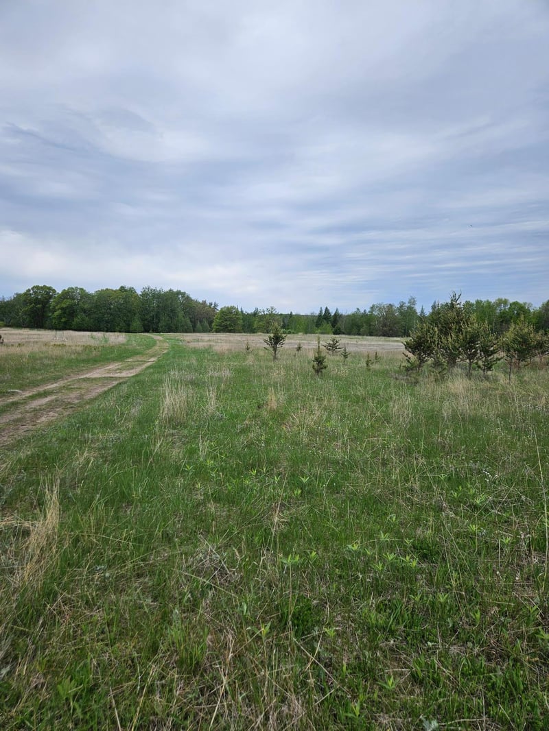 tbd Pillager Creek Trl SW, Pillager, MN 56473