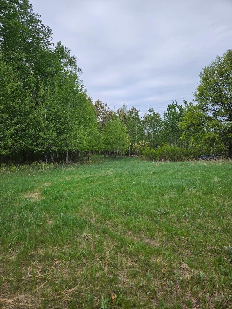 tbd Pillager Creek Trl SW, Pillager, MN 56473