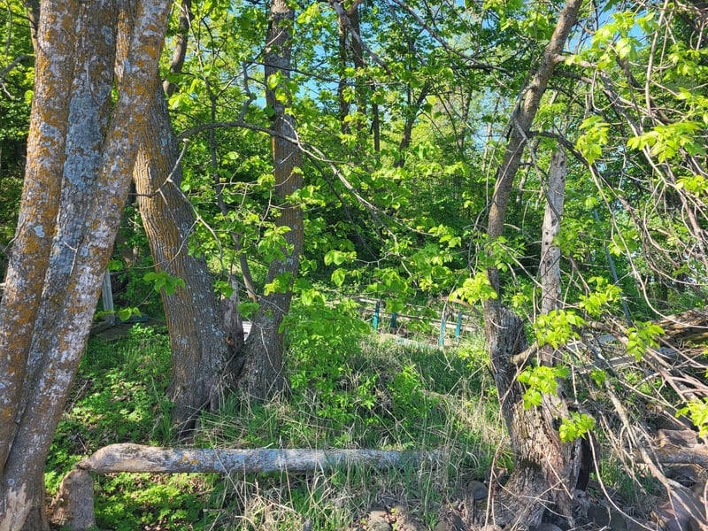 34989 Dead Isle, Richville, MN 56576