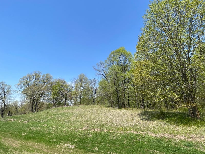 1xx Stark Rd, Harris, MN 55032