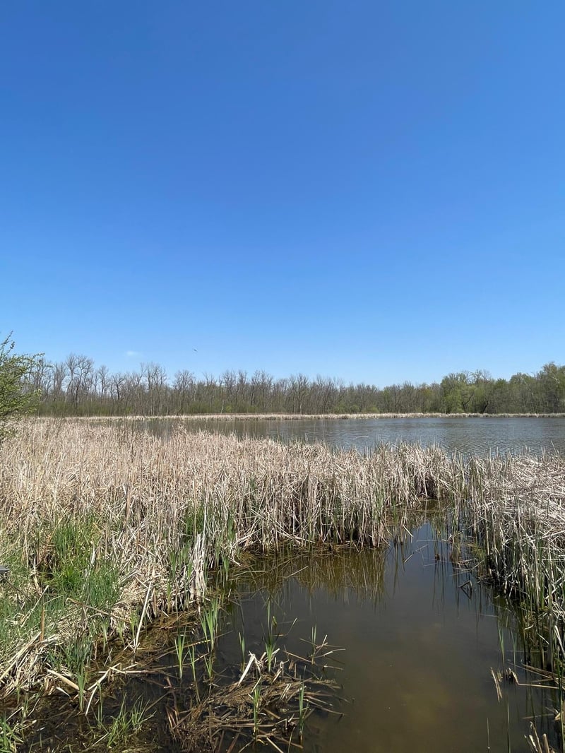 1xx Stark Rd, Harris, MN 55032