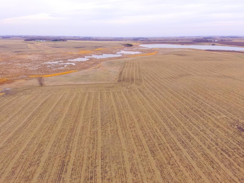 TBD 170th St, Madison, MN 56256