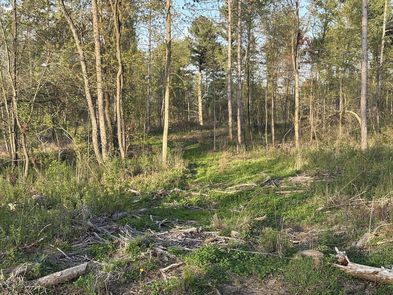 TBD State Hwy 65, Star Prairie, WI 54026