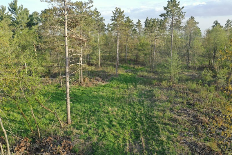 TBD State Hwy 65 Lot 2, Star Prairie, WI 54026