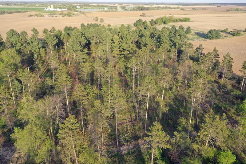 TBD State Hwy 65 Lot 2, Star Prairie, WI 54026