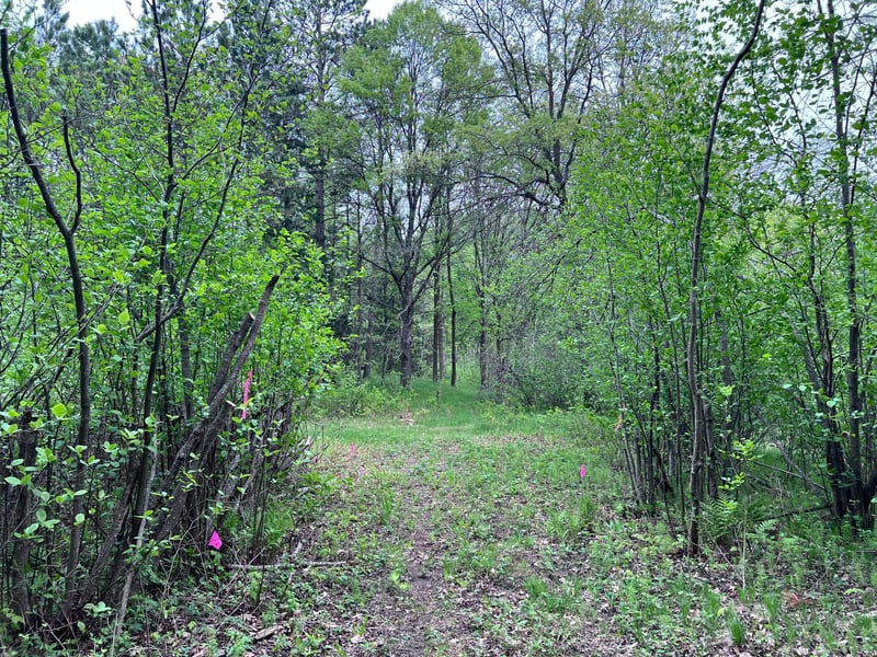 LOT 9 BLOCK 1 Yellow Birch Ln, Emily, MN 56447