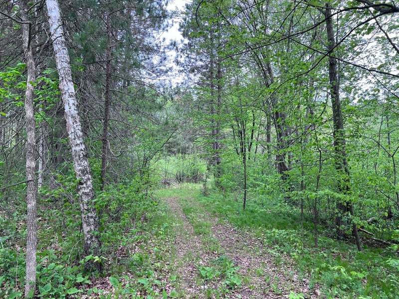 LOT 9 BLOCK 1 Yellow Birch Ln, Emily, MN 56447