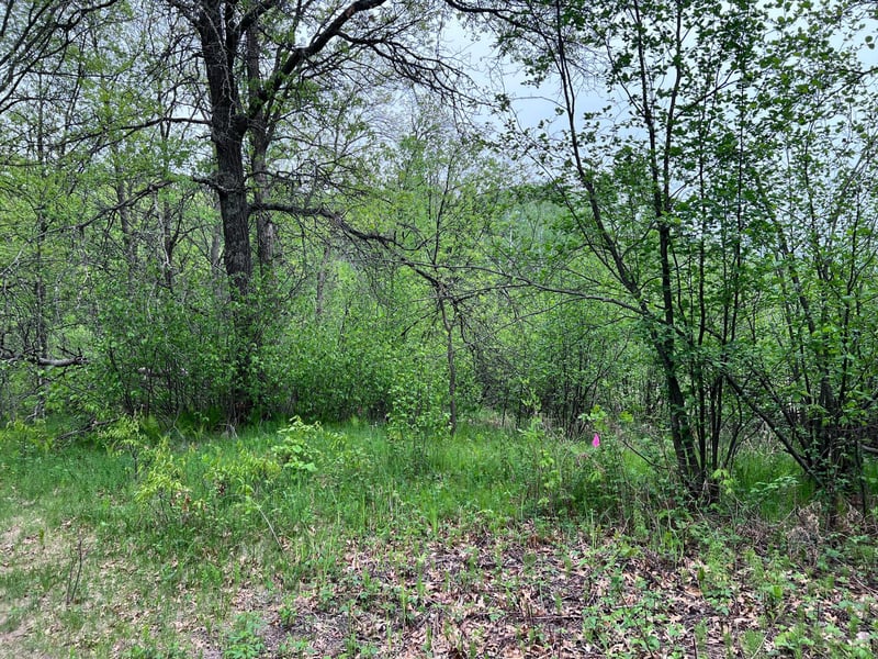 LOT 9 BLOCK 1 Yellow Birch Ln, Emily, MN 56447