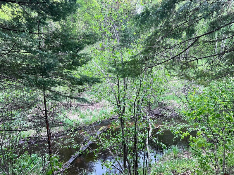LOT 9 BLOCK 1 Yellow Birch Ln, Emily, MN 56447