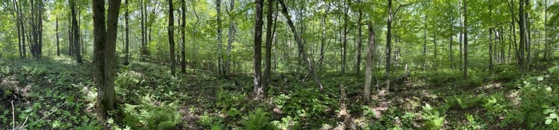 3XXX N Blackman Ave, Duluth, MN 55811