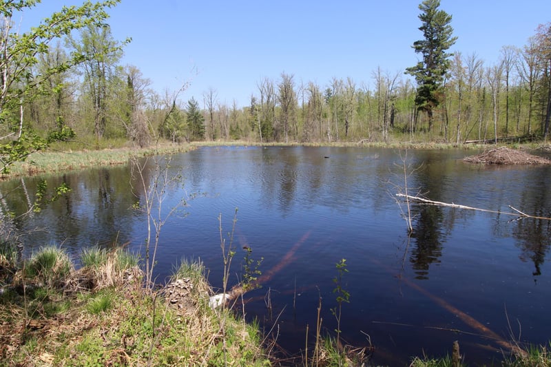 25343 Lens Rd, Emily, MN 56447