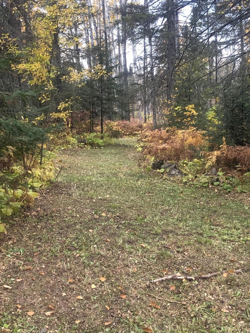 21 Brandon Ln, Grand Marais, MN 55604