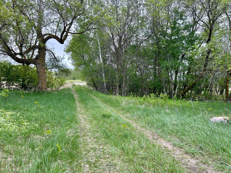 48834 County Highway 67, New York Mills, MN 56567