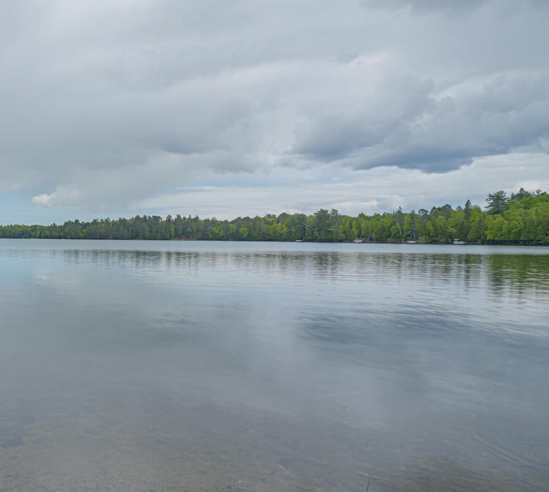 53550 Little Bear Trl, Bigfork, MN 56628