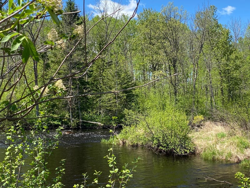 XXXX Minkkinen Rd, Kettle River, MN 55757