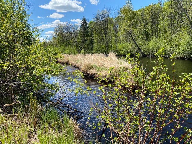 XXXX Minkkinen Rd, Kettle River, MN 55757