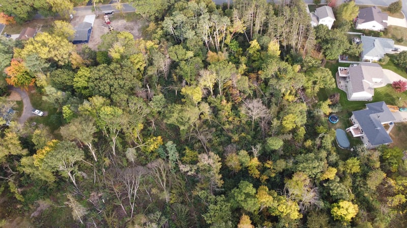 TBD 3rd St, Cannon Falls, MN 55009
