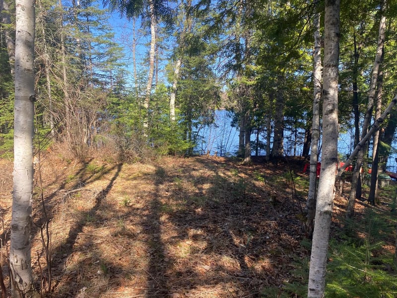 3687 Highway 169, Ely, MN 55731