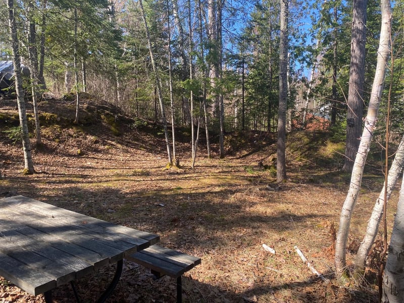 3687 Highway 169, Ely, MN 55731