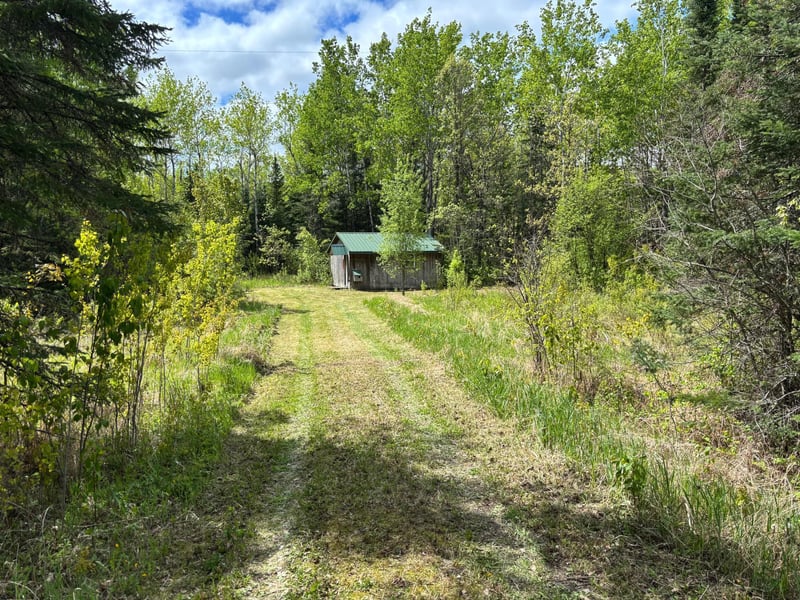 32241 State Highway 1, Effie, MN 56639