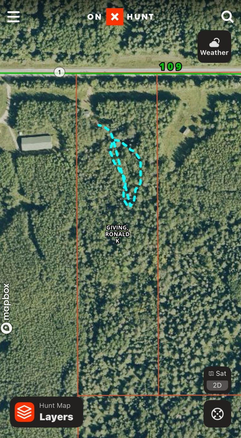 32241 State Highway 1, Effie, MN 56639
