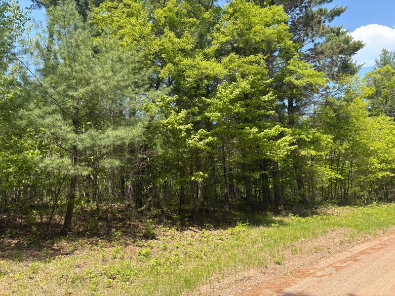 XXXXX Eagle Dr, Danbury, WI 54830