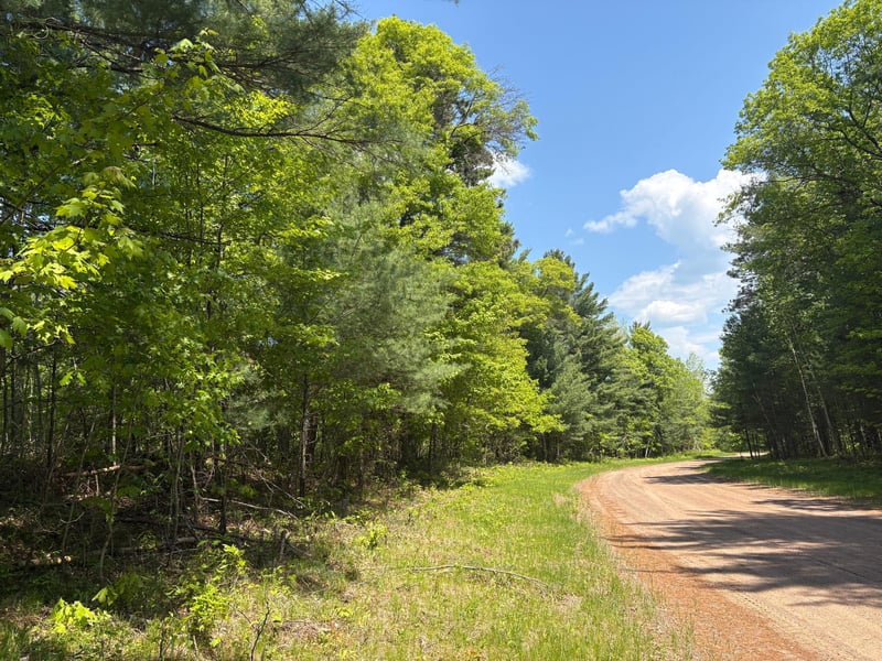 XXXXX Eagle Dr, Danbury, WI 54830