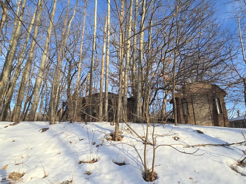 9492 N Shore Trl N, Forest Lake, MN 55025