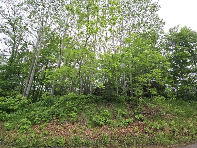 9492 N Shore Trl N, Forest Lake, MN 55025