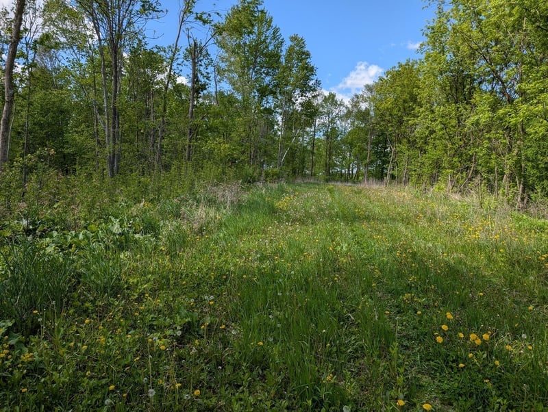xxx 17th Ave, Barron, WI 54812