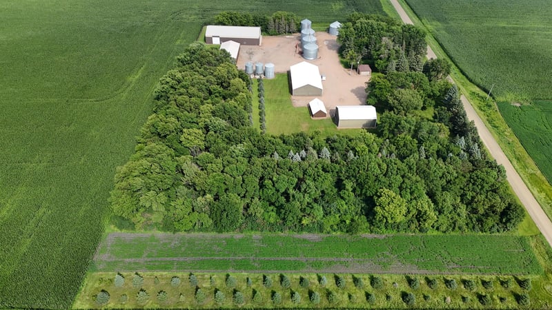 44324 690th Ave, Fairfax, MN 55332