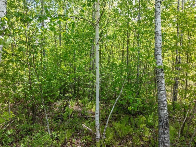 Lot 2 - Lot 3 Evening Star Ln, Emily, MN 56447