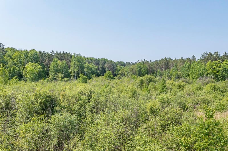 tbd S Black Bear Rd, Ironton, MN 56455