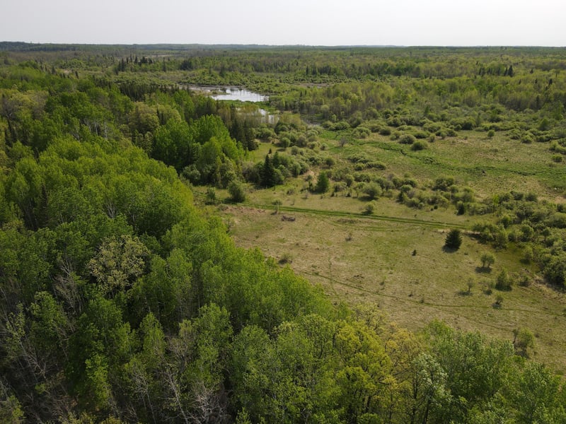 67552 Tranquility Trl, Effie, MN 56639