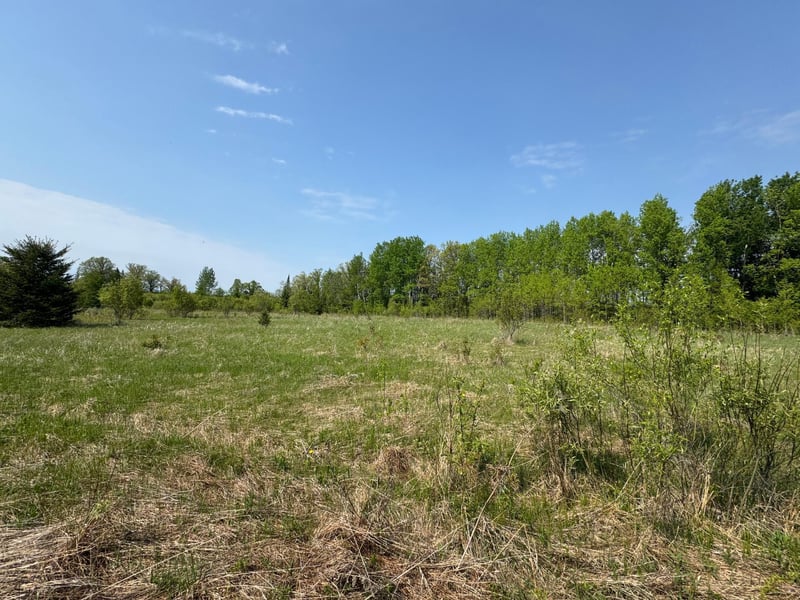 67552 Tranquility Trl, Effie, MN 56639