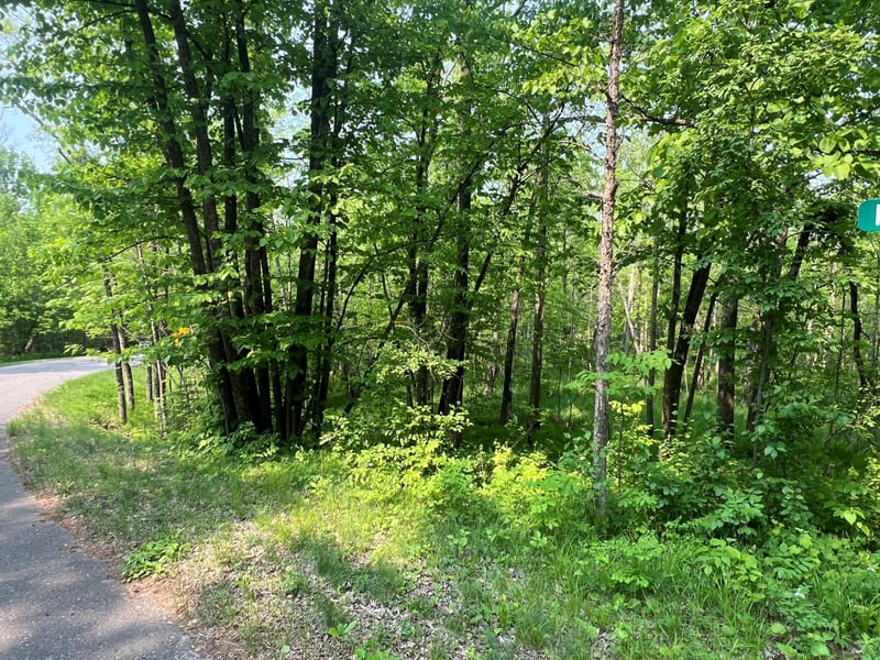 TBD Dettbarn Rd, Nisswa, MN 56468