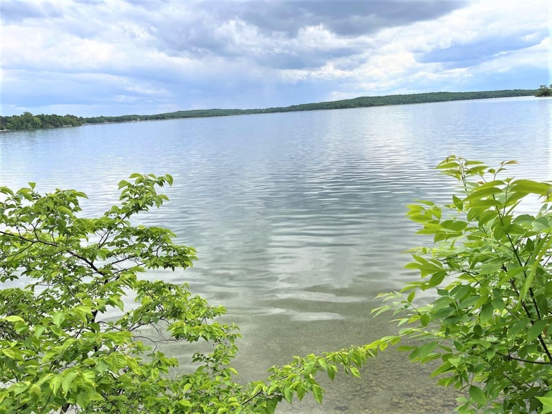 10108 Anne Trl, Grey Eagle, MN 56336