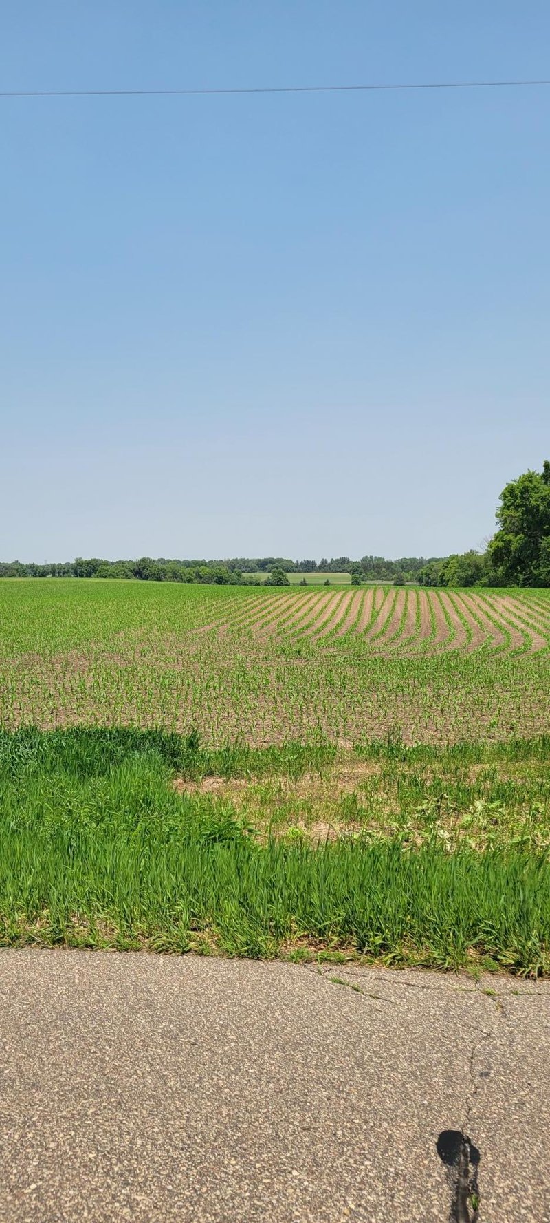 TBD 15th Street South, Afton, MN 55001