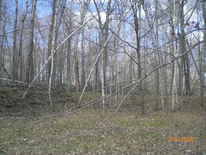 Lot 211 Catskill Cir, Breezy Point, MN 56472