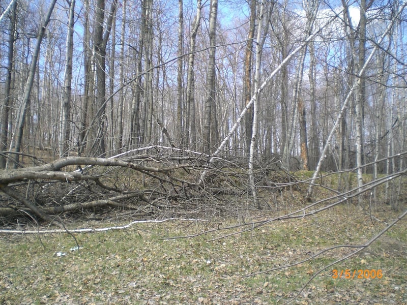 Lot 211 Catskill Cir, Breezy Point, MN 56472