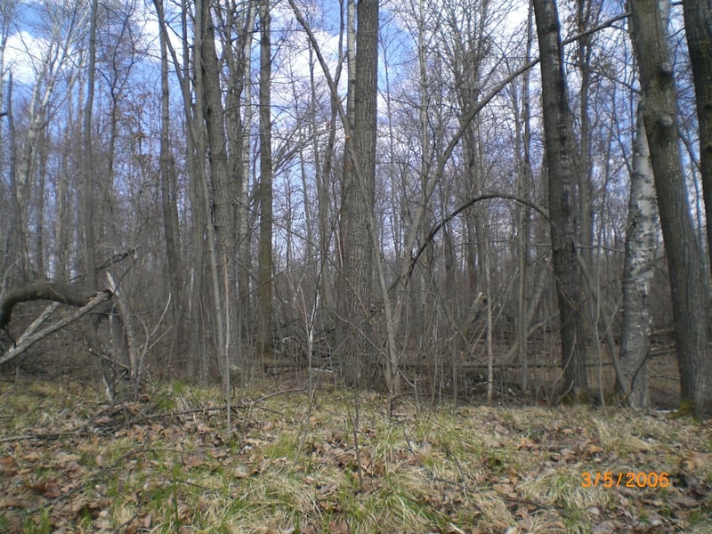 Lot 211 Catskill Cir, Breezy Point, MN 56472
