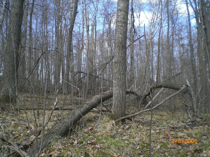 Lot 211 Catskill Cir, Breezy Point, MN 56472