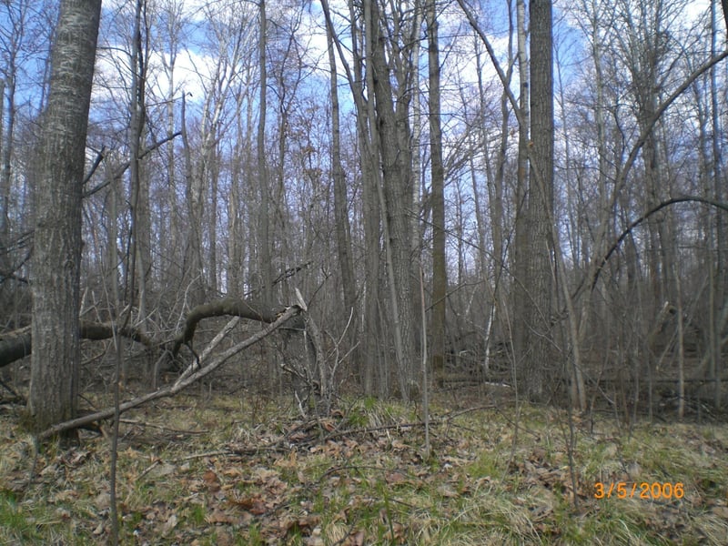 Lot 211 Catskill Cir, Breezy Point, MN 56472