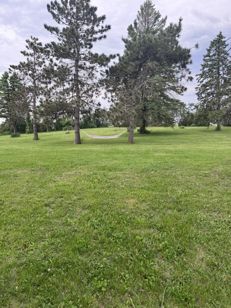 8339 NE 71st St, West Concord, MN 55985