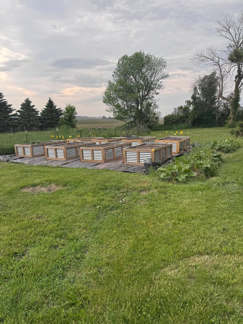 8339 NE 71st St, West Concord, MN 55985