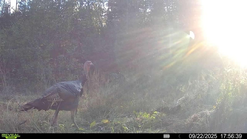 TBD Xxx, Osage, MN 56570