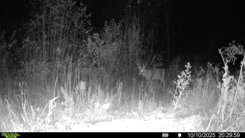 TBD Xxx, Osage, MN 56570