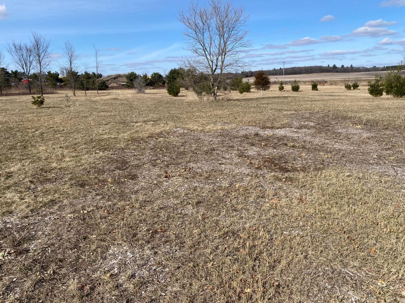 Lot 2 934th St, Mondovi, WI 54755
