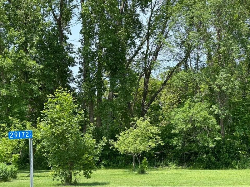 29172 Biehn Dr, Madison Lake, MN 56063